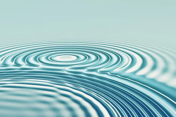 Kasino Silver Oak Tuki